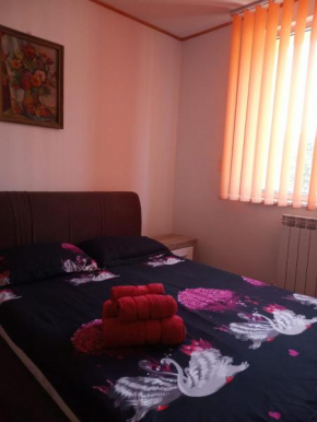 Apartament Central